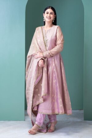 Blush Pink Banarasi Tissue Anarkali Set