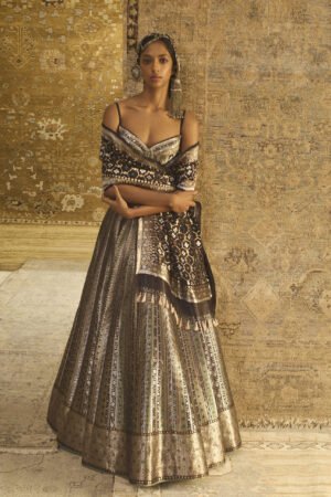Alahna Handwoven Benarasi Silk Lehenga Set - Black