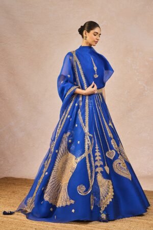 The 'Dil Jaanta Hai' Lehenga