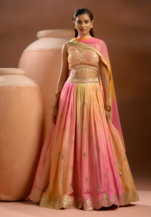 Inayat - Radiant Silk Lehenga Adorned With Exquisite Mirror And Thread Work