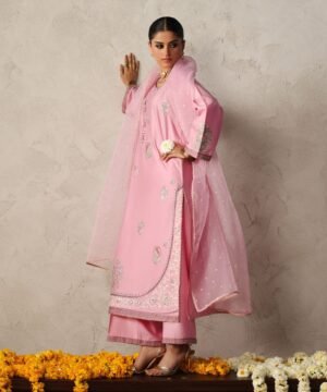 3 Piece - Embroidered Cotton Net Suit