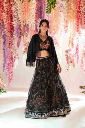 Arin Onyx Lehenga Set