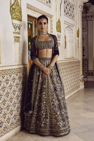 Elakshi Embroidered Silk Lehenga Set - Blue