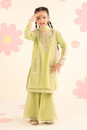 3 Piece Embroidered Dobby Lawn Suit
