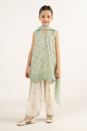 3 Piece Embroidered Dobby Lawn Suit