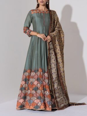 Grey Vasansi Silk Printed Anarkali