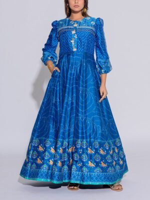 Blue Vasansi Silk Printed Anarkali Gown