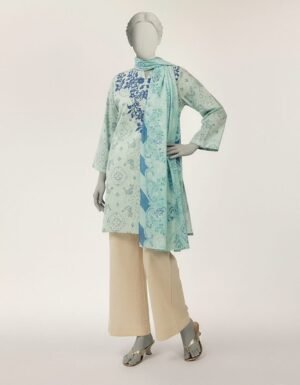 Multicolor Lawn Embroidered Stitched 2pc
