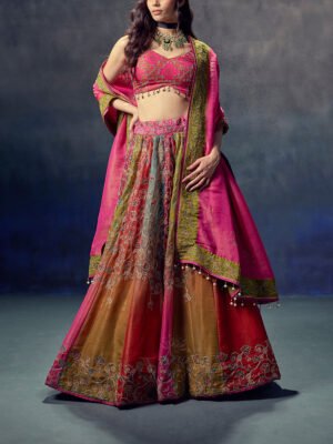 Multi Color Tissue Lehenga Set
