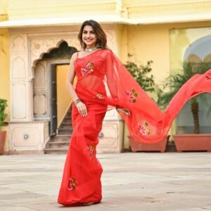 Bunaai Red Organza Handpainted Saree