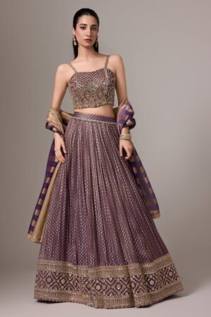 Deep Purple Banarasi Lehenga Set And A H...