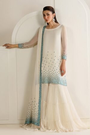 Embroidered Chiffon Uc-3133