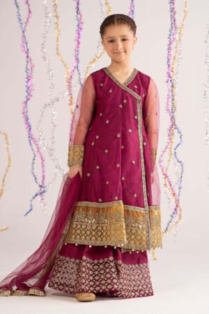 3 Piece Embroidered Net Suit