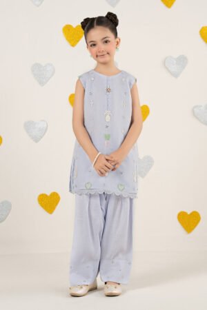 2 Piece Embroidered Organza Suit