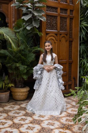 Elham by Shehrnaz, South Asian ethnic wear