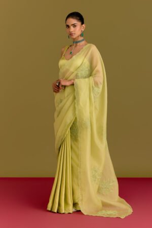 Green Embroidered Saree Set by Devnaagri, South Asian ethnic wear