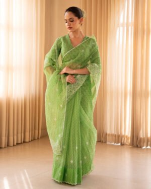 Nirmal Green Doria Embroidered Saree