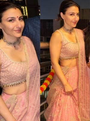 Riwaayat Organza Onion Pink Lehenga by Mulmul, South Asian ethnic wear