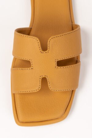 Yellow Slipper