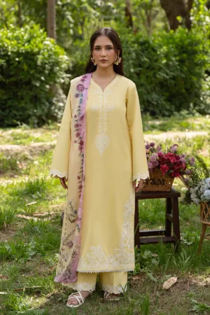Seraya by Mannat, South Asian ethnic wear