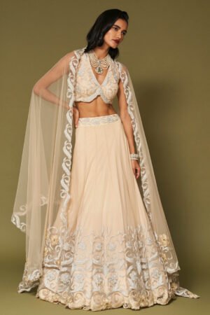 Almond Embroidered Net Lehenga Set