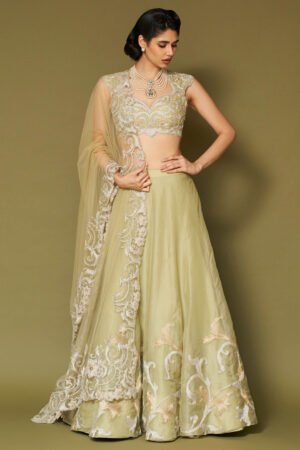 Pistachio Embroidered Silk Organza Lehenga Set by Devnaagri, South Asian ethnic wear