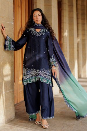 Ss26dl-0357 Navy Blue 3pcs by dhanak, South Asian ethnic wear
