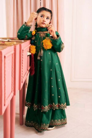3 Piece Embroidered Bamberg Raw Silk Suit by Maria.B., South Asian ethnic wear