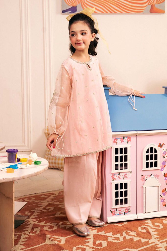 2 Piece Embroidered Organza Suit by Maria.B., South Asian ethnic wear