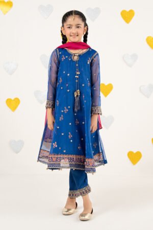 3 Piece Embroidered Organza Suit by Maria.B., South Asian ethnic wear