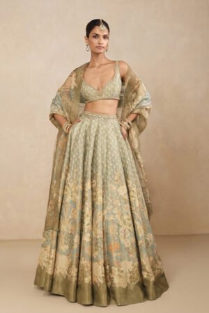 Noora Embroidered Lehenga Set - Blue