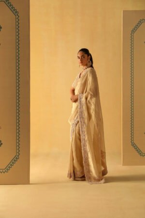 Maheen – Gold Tissue Saree Set by Sheetal Batra, South Asian ethnic wear