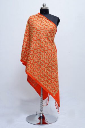 Orange Colour Aari Work  Embroidered Stole Embellished With Swarovski Work . by Kashmir Villa, South Asian ethnic wear